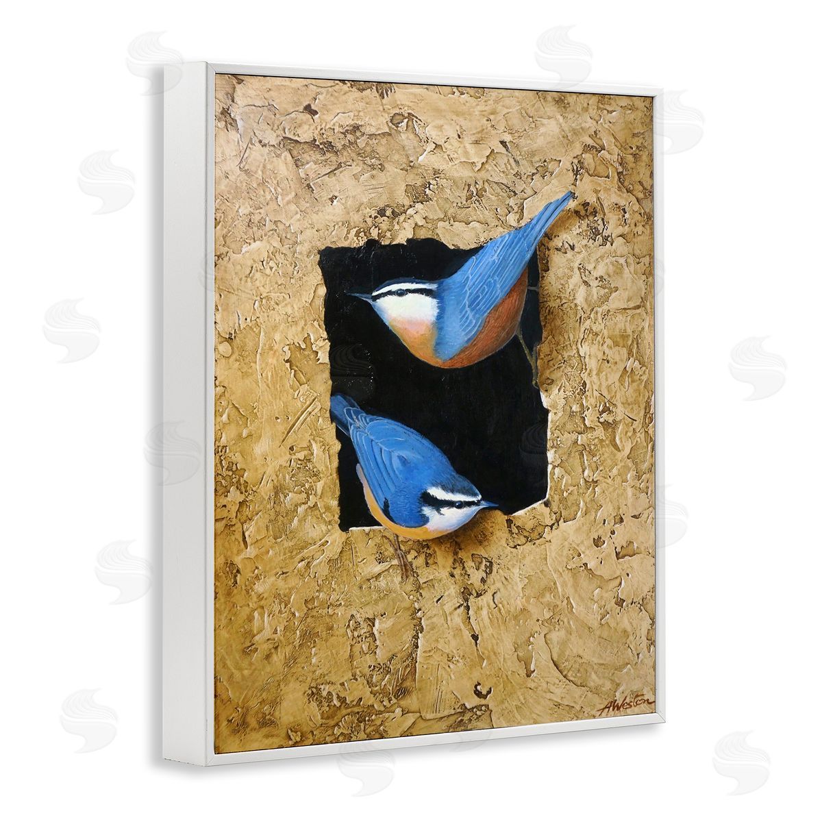 Alan Weston Blue Bird Pair Perched Rough Layered Structure White Framed Giclee Wall Art Print