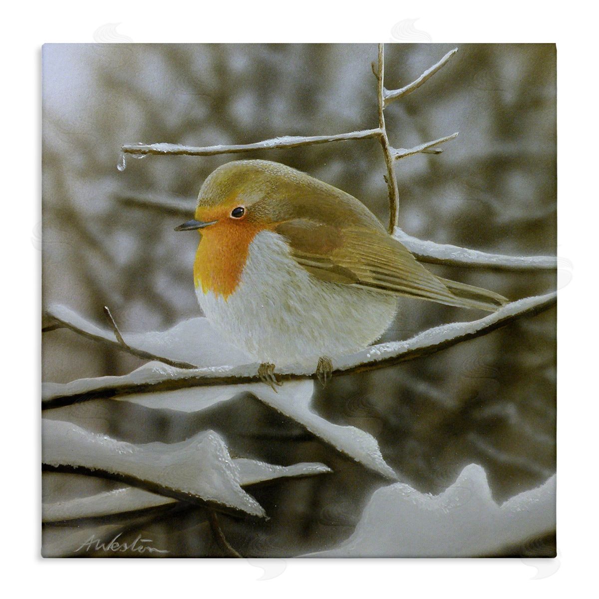 Alan Weston Little Bird Perched Detailed Snow Covered Twigs  Stretched Canvas Wall Art Print