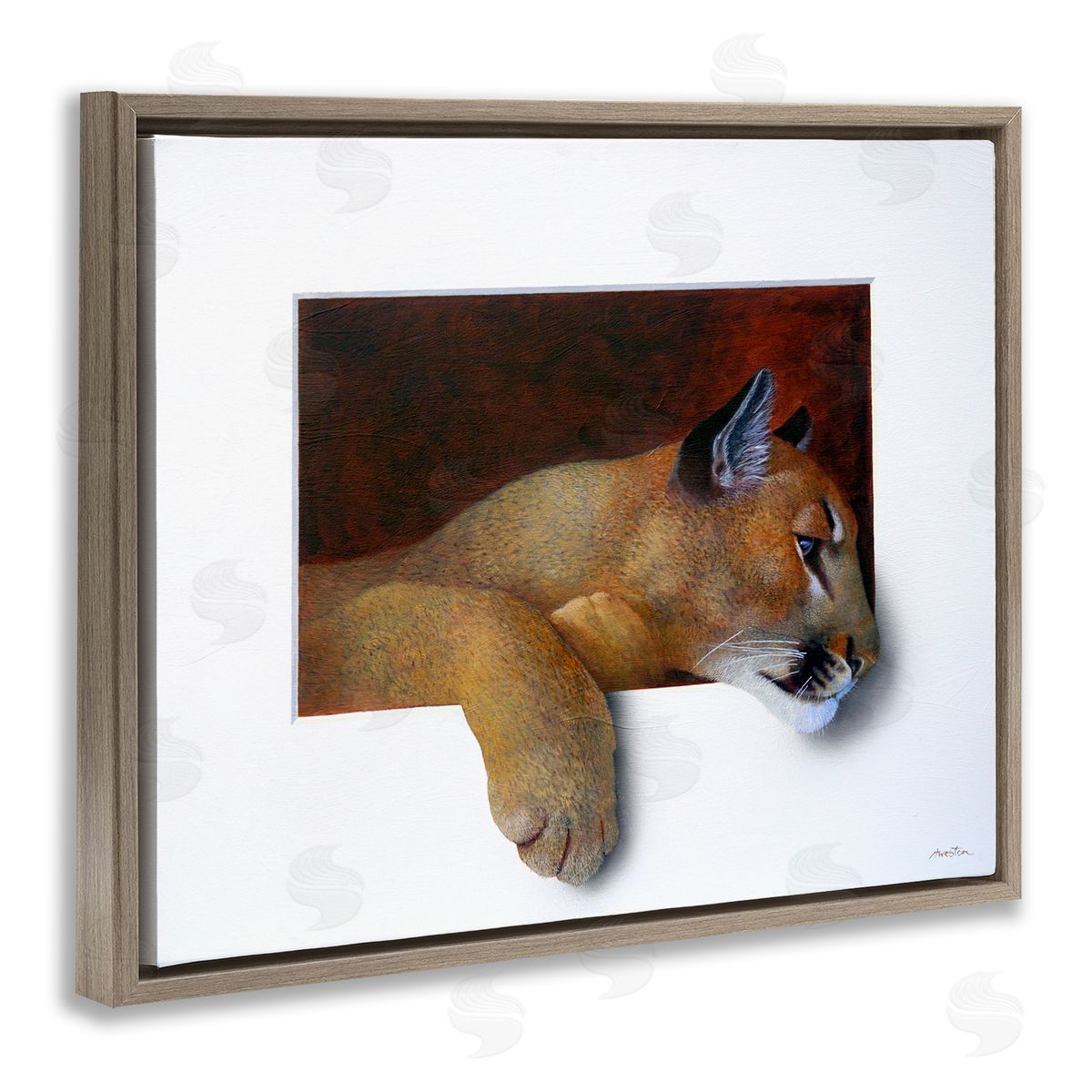 Alan Weston Wild Cougar Resting Head Interesting Illusion Painting Brown Floating Frame Canvas Wall Art Print