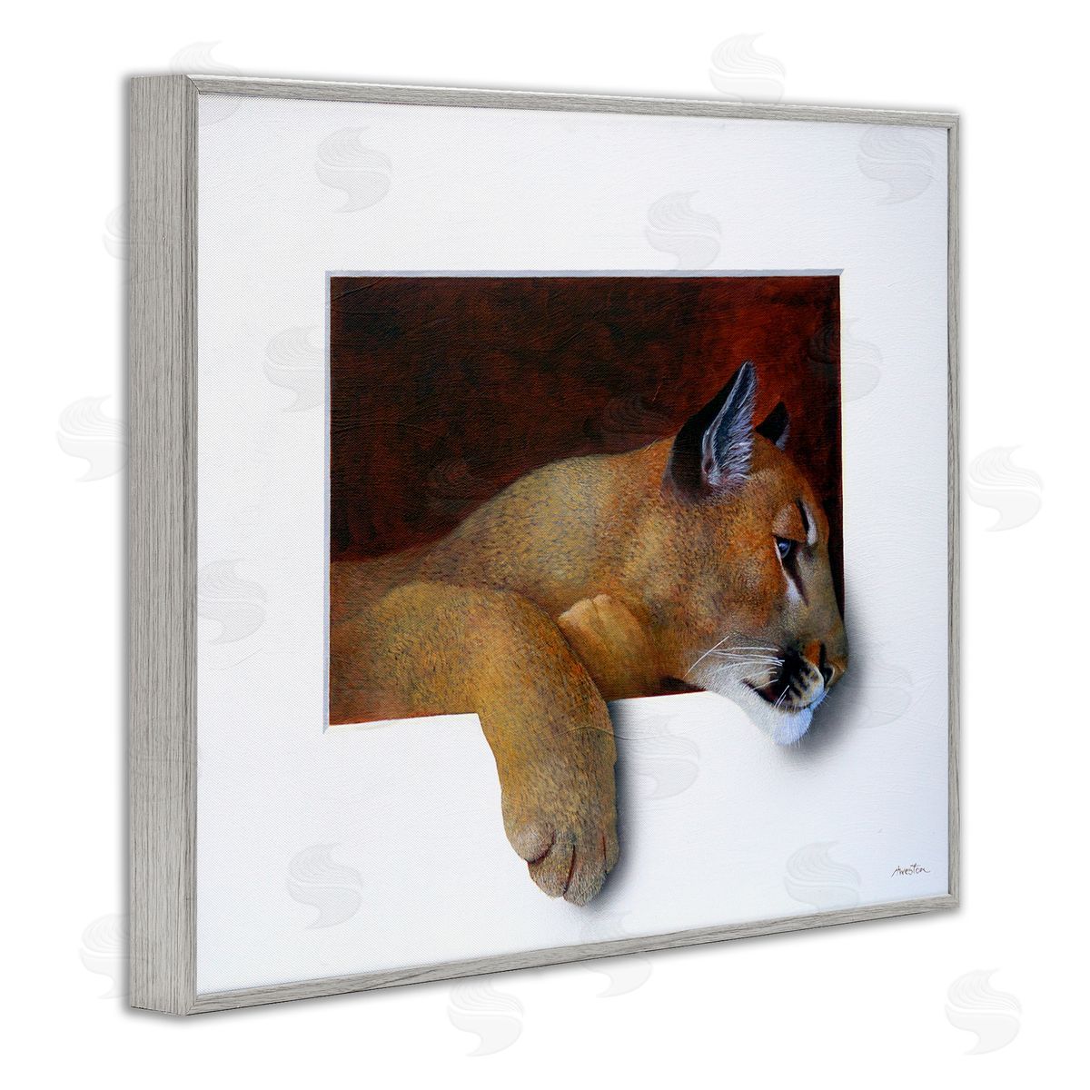 Alan Weston Wild Cougar Resting Head Interesting Illusion Painting Gray Framed Giclee Wall Art Print