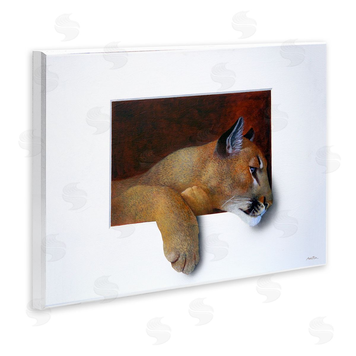 Alan Weston Wild Cougar Resting Head Interesting Illusion Painting Wall Plaque Art Print