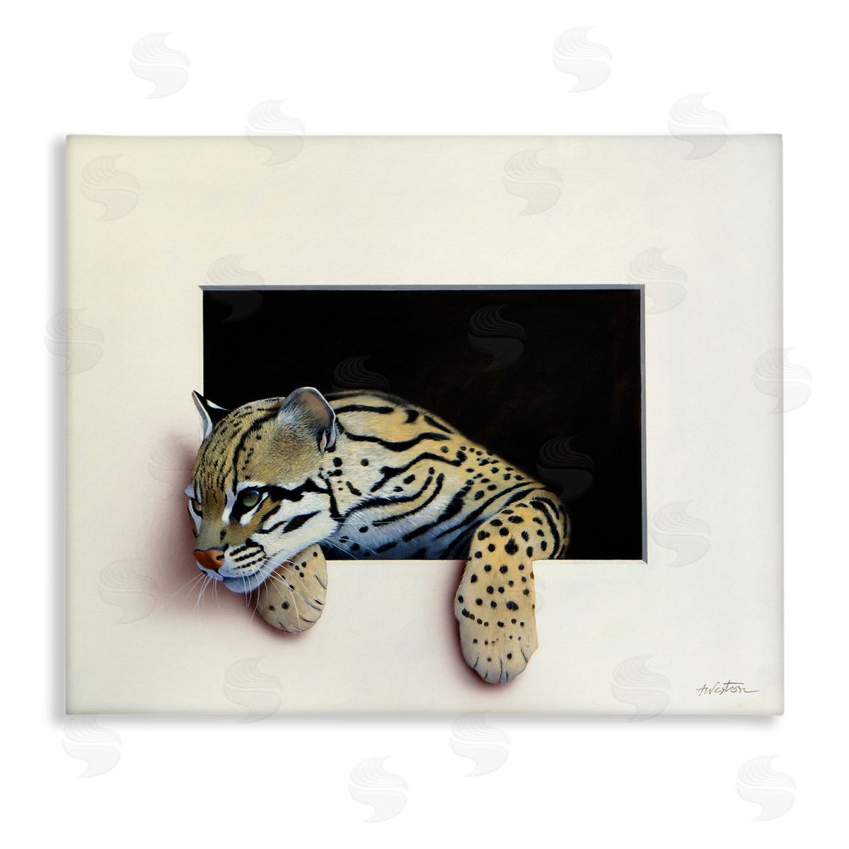 Alan Weston Wildlife Ocelot Resting Paws Cutout Illusion Stretched Canvas Wall Art Print