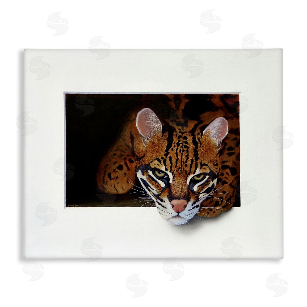 Alan Weston Menacing Cheetah Glaring Jungle Cat Obscure Painting Stretched Canvas Wall Art Print