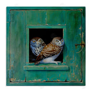 Alan Weston | Spotted Owls Perched Ledge
