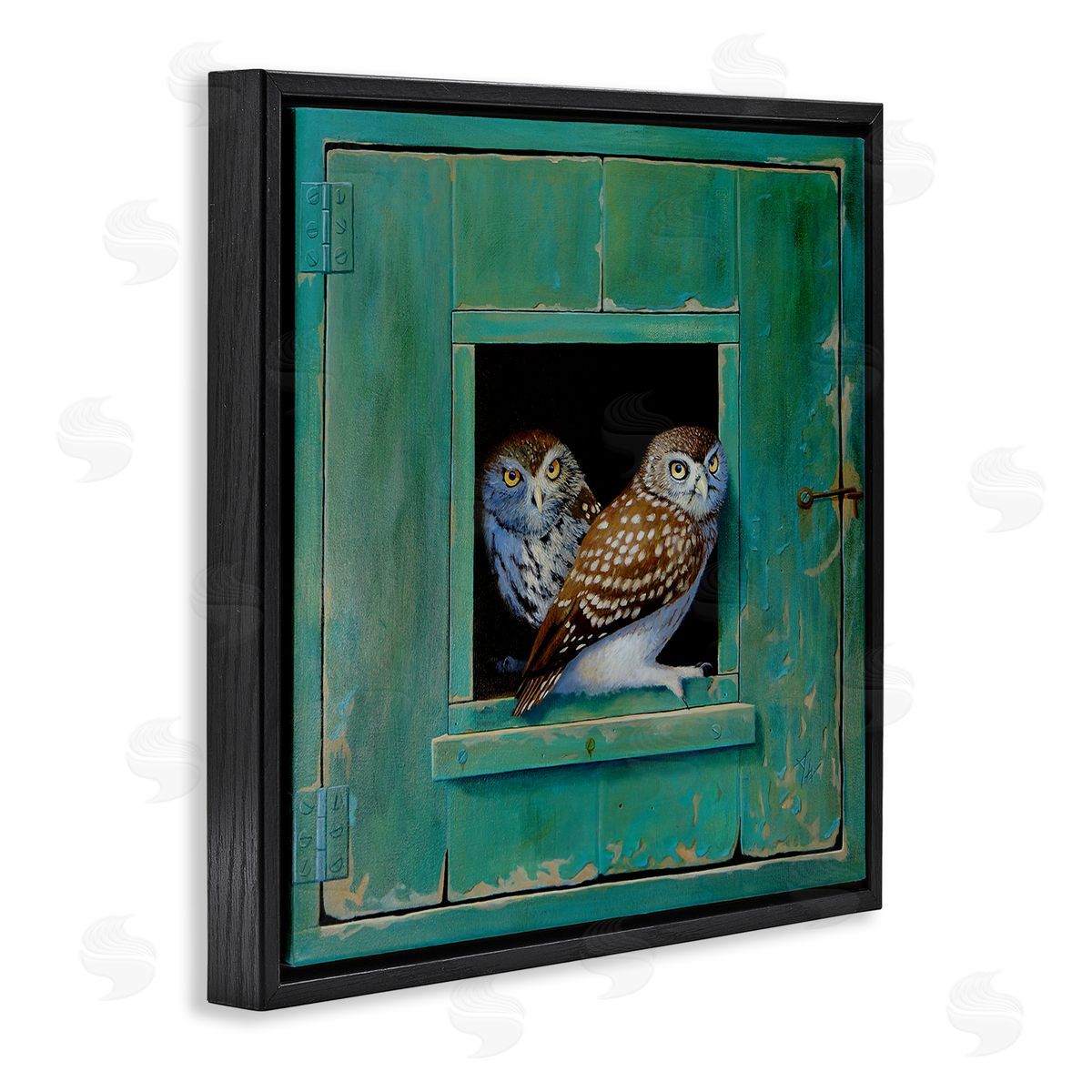 Spotted Owls Perched Ledge Black Floating Frame Canvas Wall Art, Home Decor by Alan Weston
