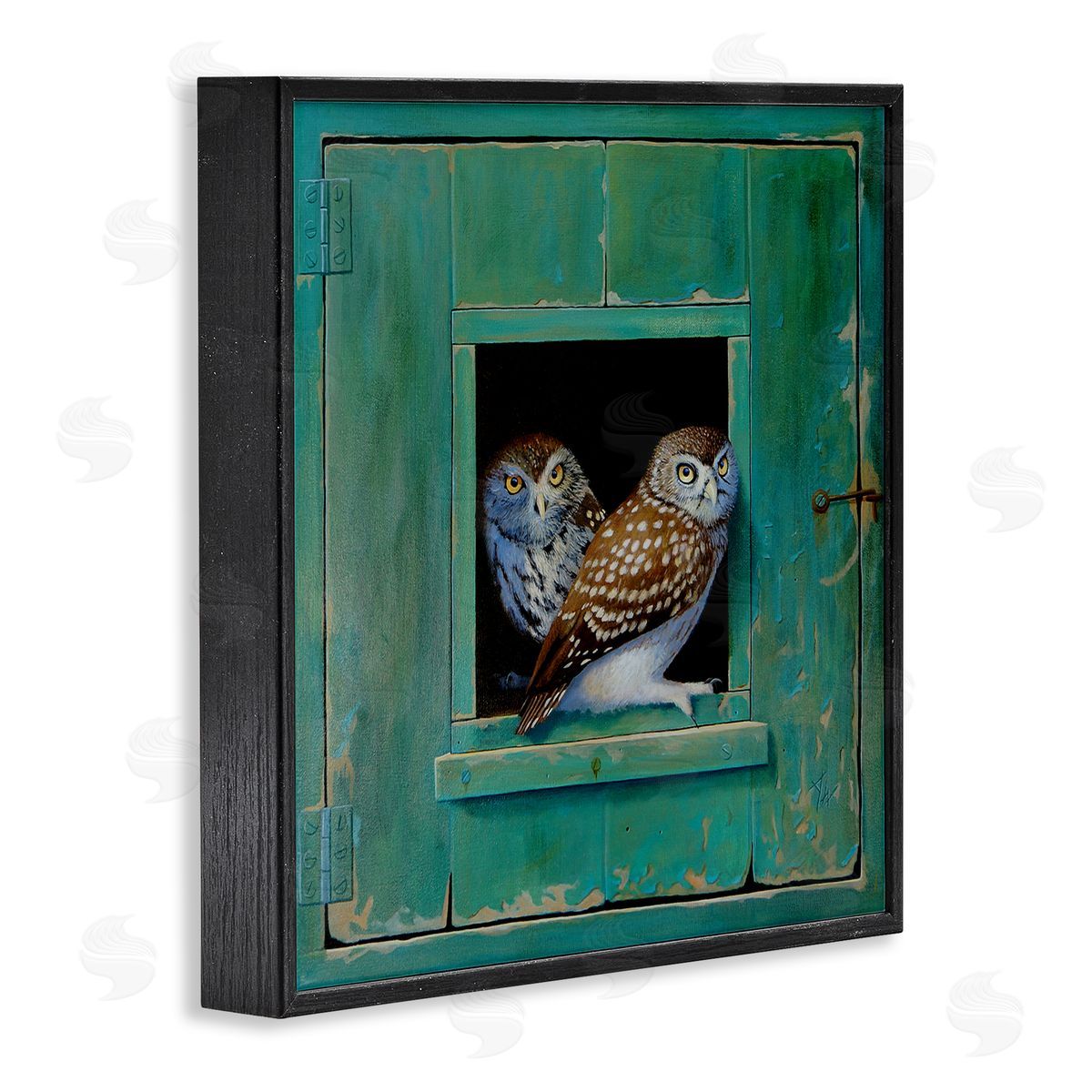Spotted Owls Perched Ledge Black Frame Print Wall Art, Home Decor by Alan Weston