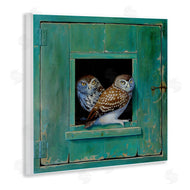 Alan Weston | Spotted Owls Perched Ledge