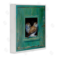 Alan Weston | Spotted Owls Perched Ledge