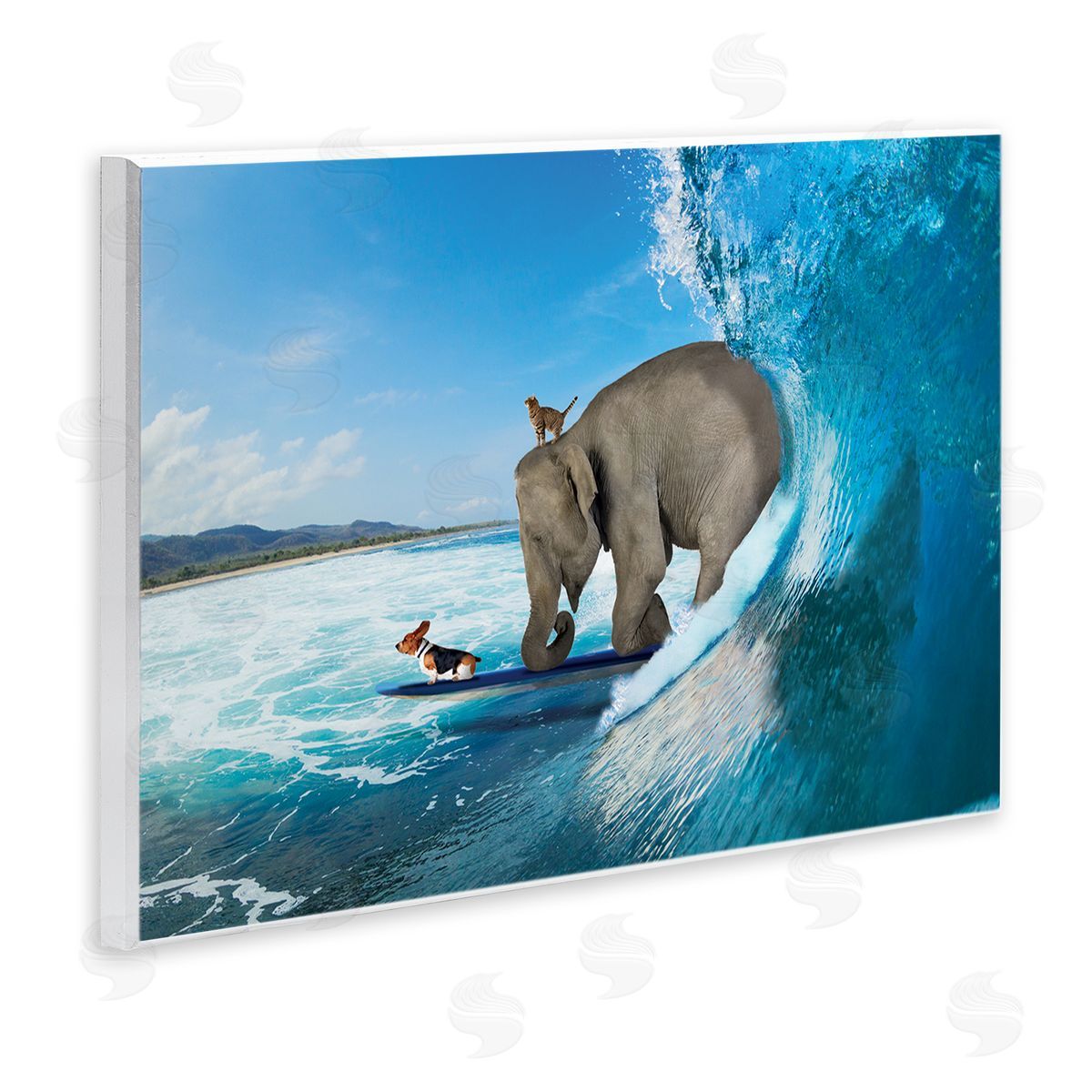 Nobleworks Animals Riding Ocean Waves Surfing Elephant Cat Dog Wall Plaque Art Print