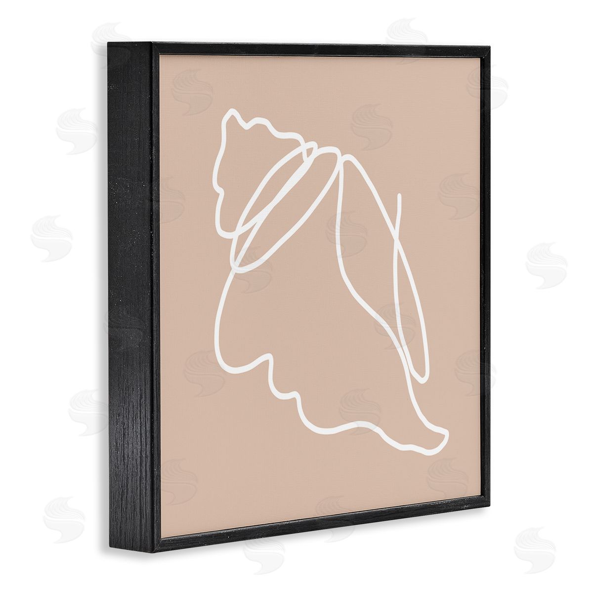 Stupell Studio Casual Line Doodle Seashell Ocean Life Drawing Black Framed Glicee Wall Art Print