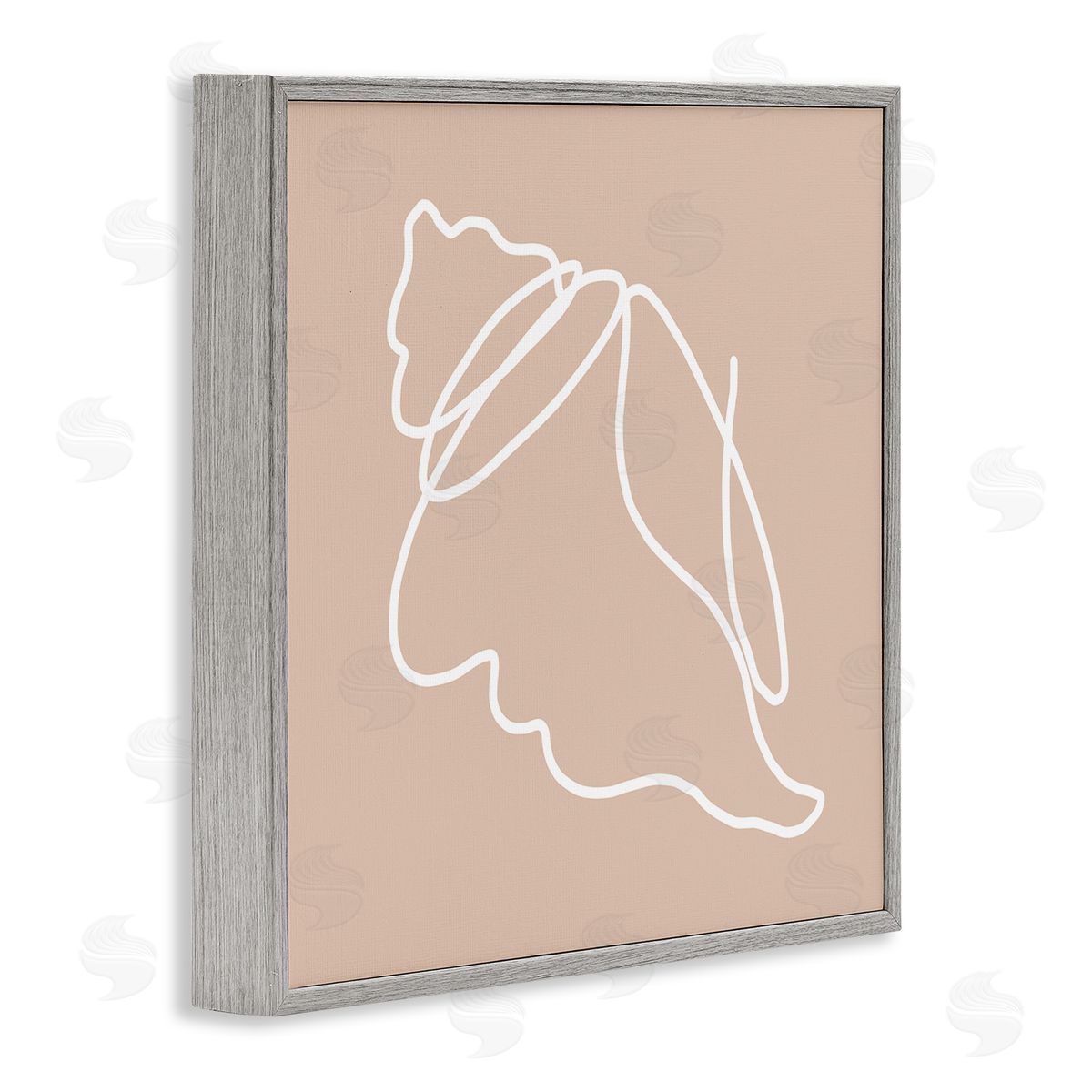 Stupell Studio Casual Line Doodle Seashell Ocean Life Drawing Gray Framed Glicee Wall Art Print