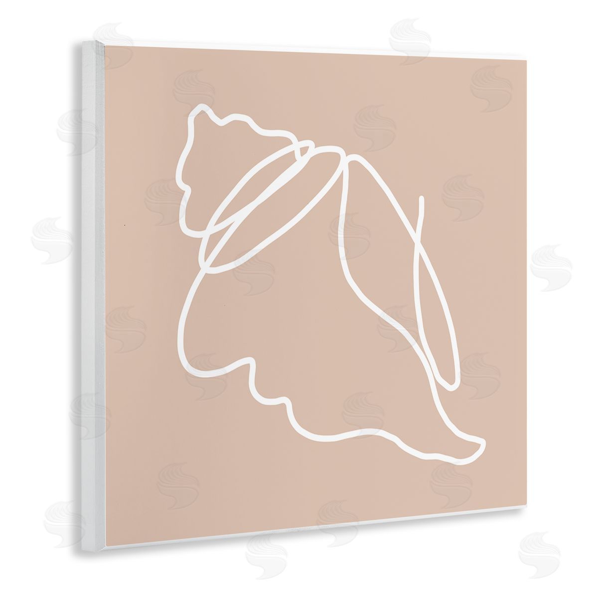 Stupell Studio Casual Line Doodle Seashell Ocean Life Drawing Wooden Wall Plaque Art Print