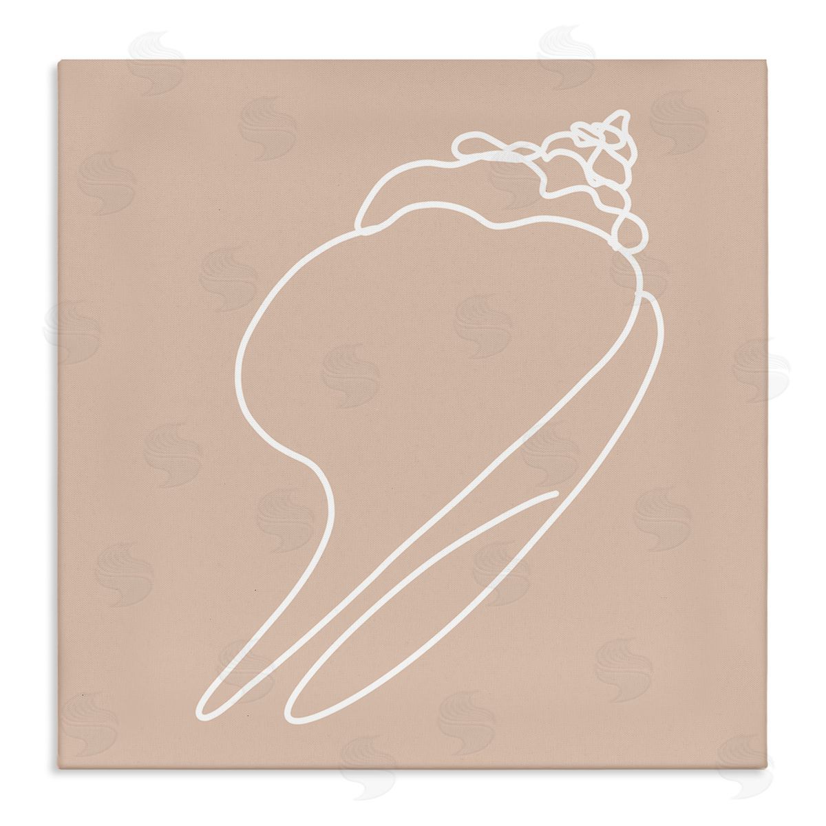 Stupell Studio Sea Shell Beach Ocean Life Line Drawing  Stretched Canvas Wall Art Print
