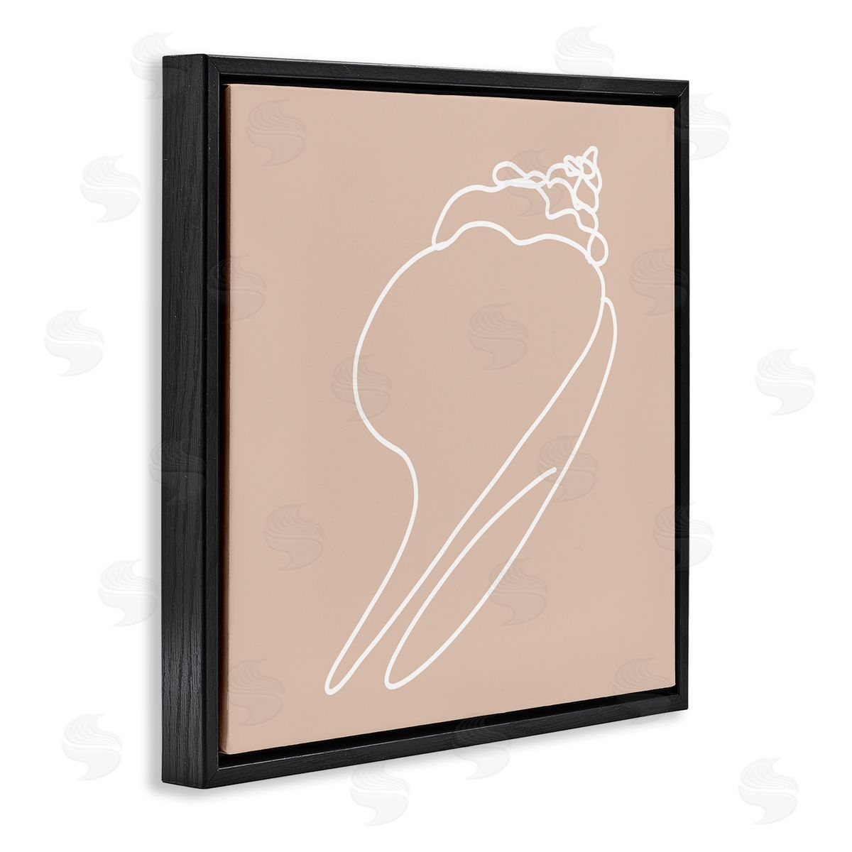 Stupell Studio Sea Shell Beach Ocean Life Line Drawing  Black Floating Frame Canvas Wall Art Print