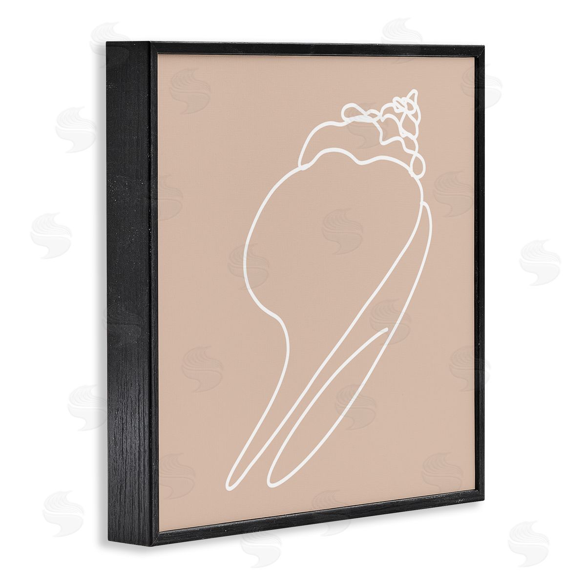 Stupell Studio Sea Shell Beach Ocean Life Line Drawing  Black Framed Glicee Wall Art Print