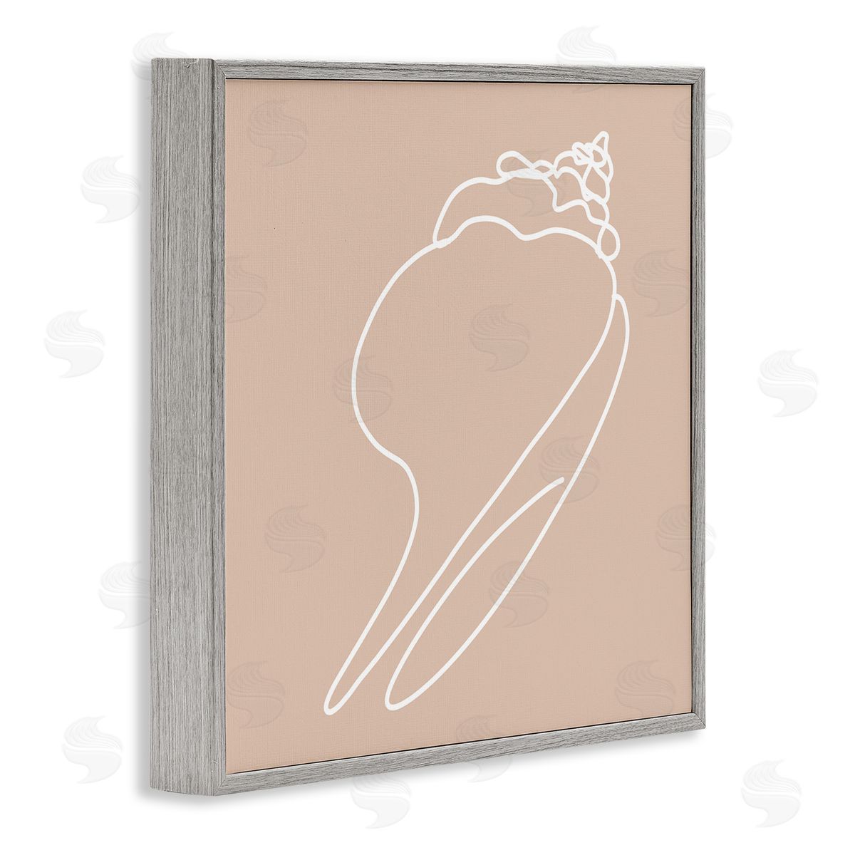 Stupell Studio Sea Shell Beach Ocean Life Line Drawing  Gray Framed Glicee Wall Art Print