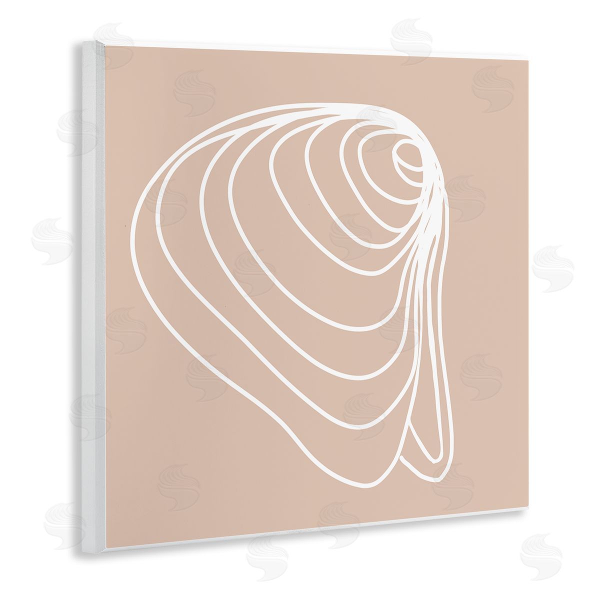 Stupell Studio Clam Shell Seashell Stripes Casual Line Doodle Wooden Wall Plaque Art Print
