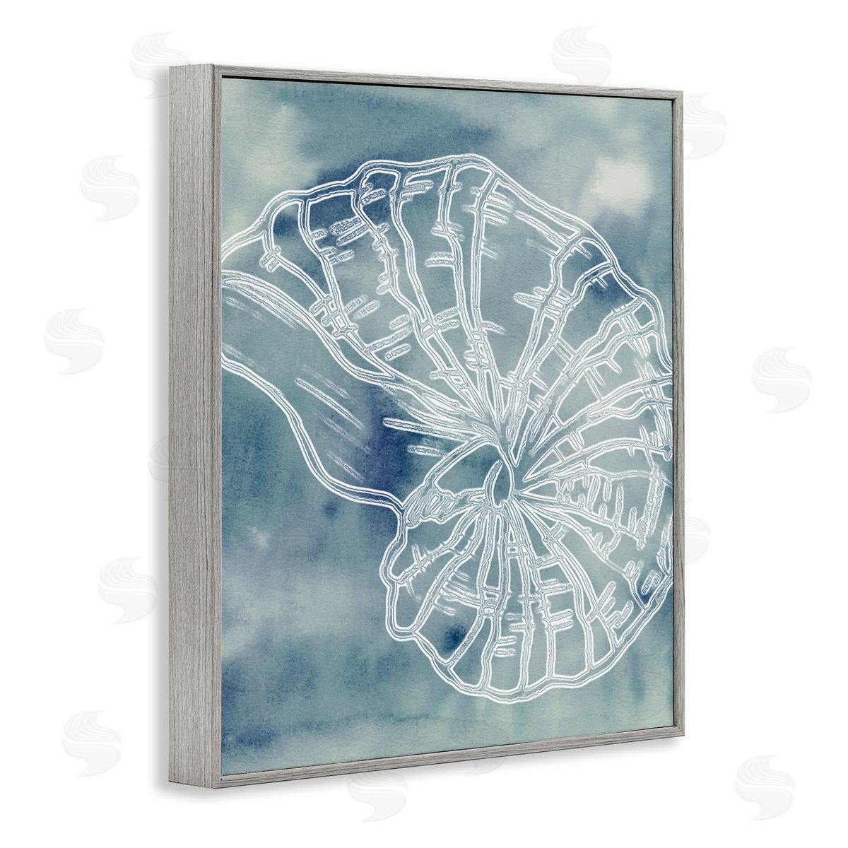 Ziwei Li Spiral Seashell Nautilus Sea Life Watercolor Pattern Gray Framed Giclee Wall Art Print