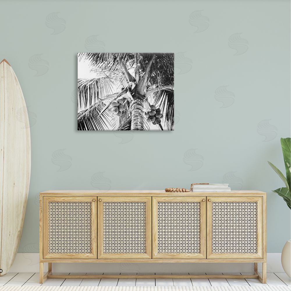 Two Smart Blondes Tropical Coconut Fruits Growing Monochrome Palm Tree  Canvas Wall Art Print in Room