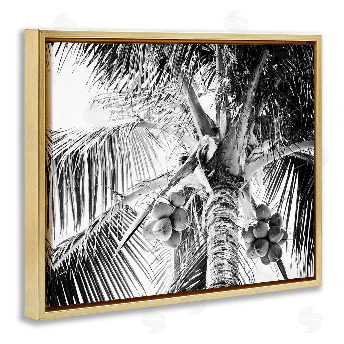 Two Smart Blondes Tropical Coconut Fruits Growing Monochrome Palm Tree  Gold Floating Frame Canvas Wall Art Print