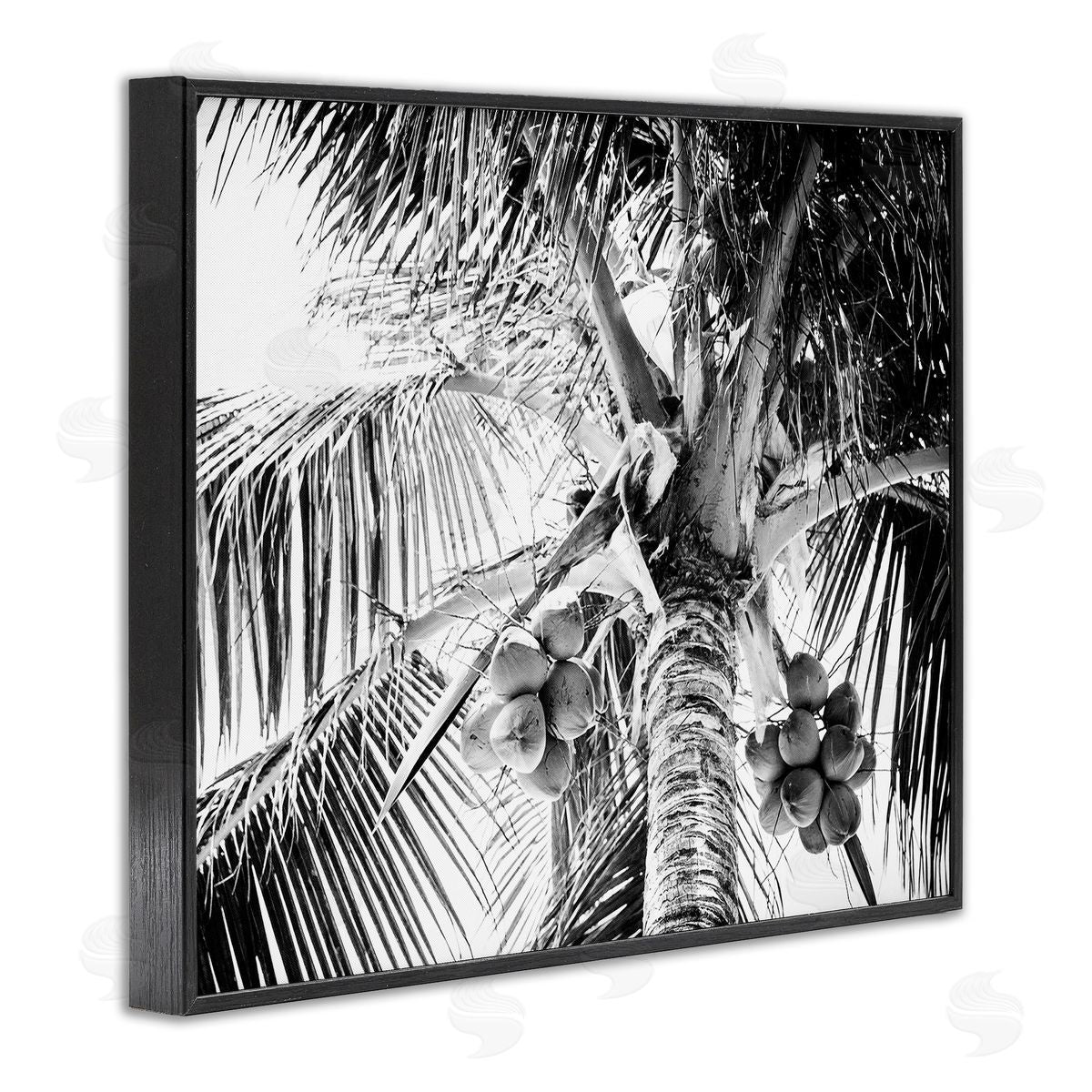 Two Smart Blondes Tropical Coconut Fruits Growing Monochrome Palm Tree  Black Framed Giclee Wall Art Print