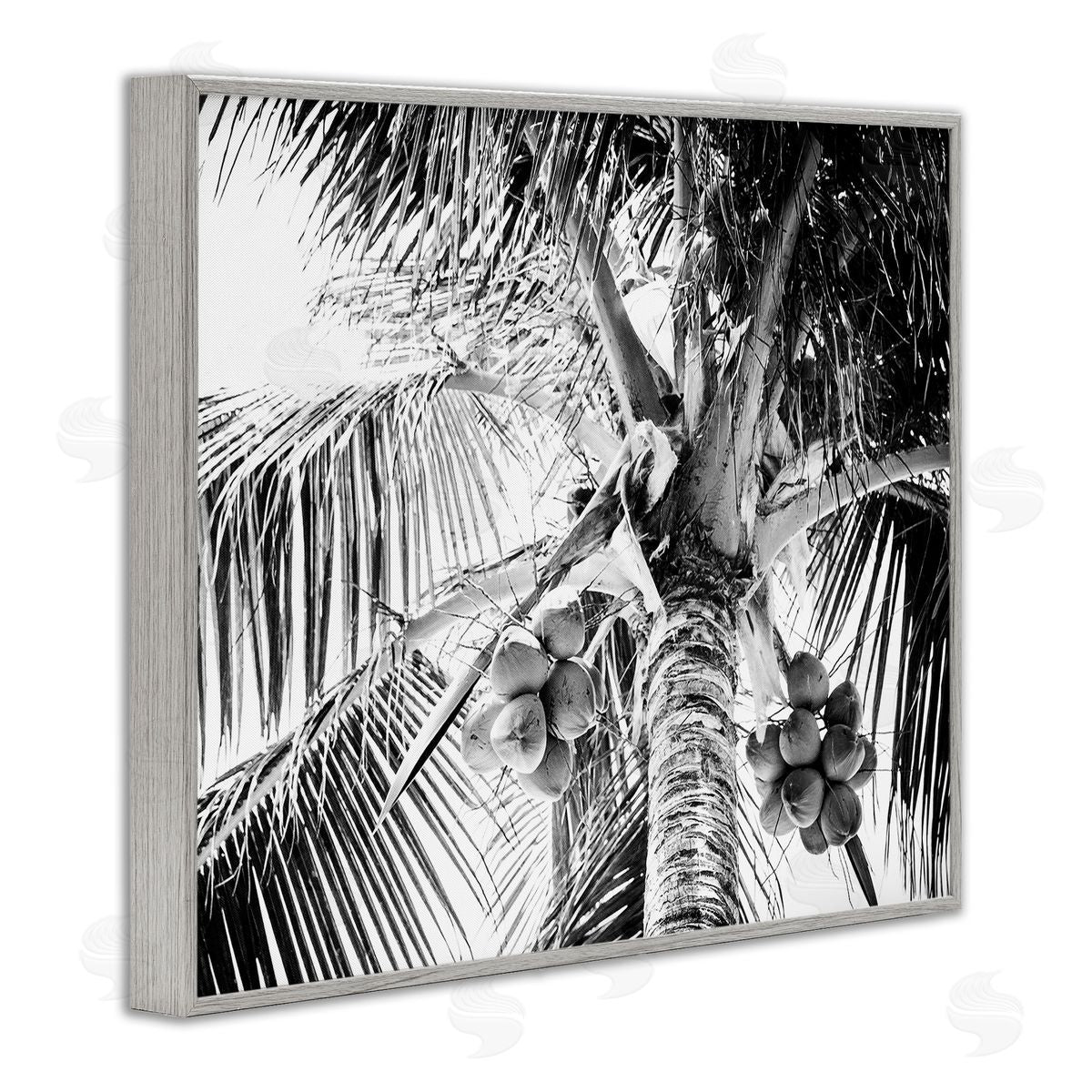 Two Smart Blondes Tropical Coconut Fruits Growing Monochrome Palm Tree  Gray Framed Giclee Wall Art Print