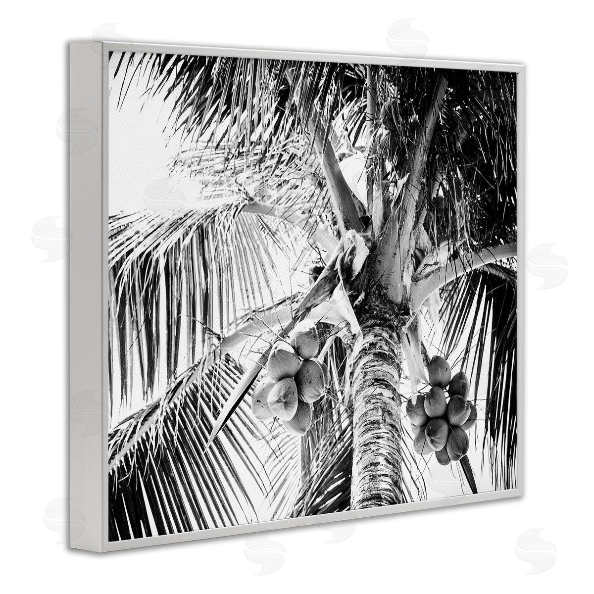 Two Smart Blondes Tropical Coconut Fruits Growing Monochrome Palm Tree  White Framed Giclee Wall Art Print
