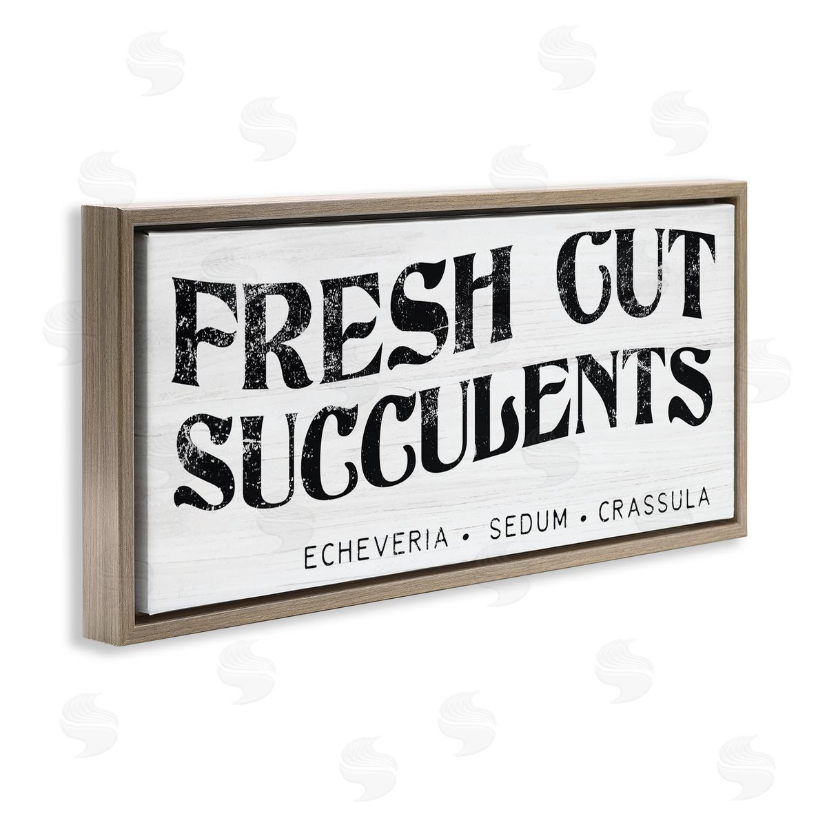 Stupell Studio fr_sideesh Cut Succulents Antique Style Grainy Sign 