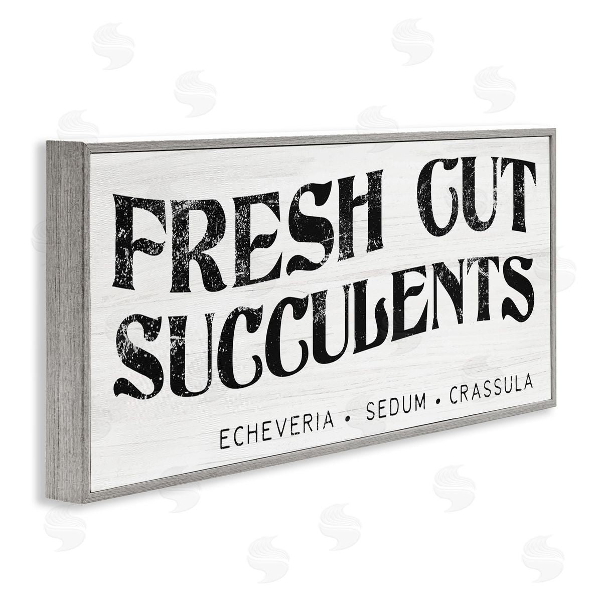 Stupell Studio fr_sideesh Cut Succulents Antique Style Grainy Sign 