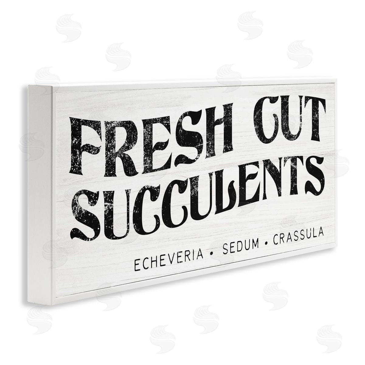Stupell Studio fr_sideesh Cut Succulents Antique Style Grainy Sign 