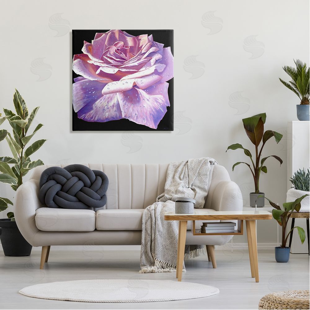 Alan Weston Lush Pink Rose Petals Flower Water Droplets  Canvas Wall Art in Room