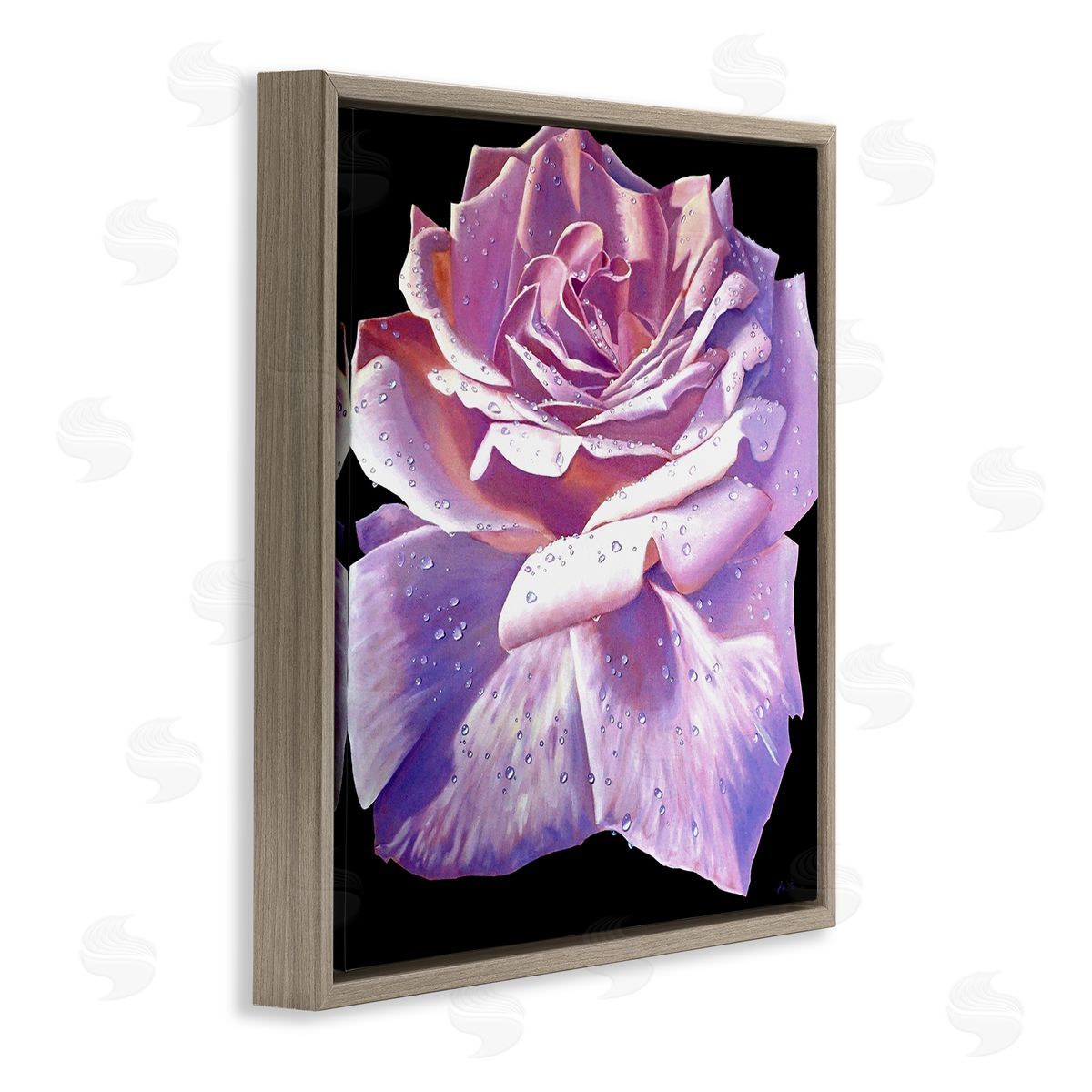 Alan Weston Lush Pink Rose Petals Flower Water Droplets  Brown Floating Frame Canvas Wall Art Print