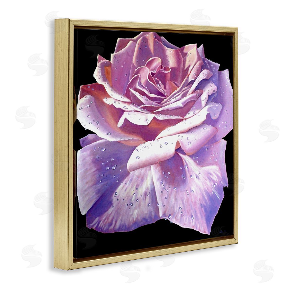 Alan Weston Lush Pink Rose Petals Flower Water Droplets  Gold Floating Frame Canvas Wall Art Print