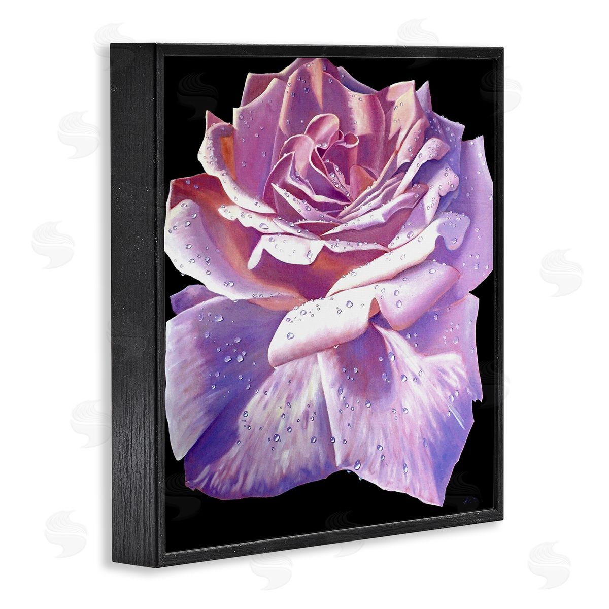 Alan Weston Lush Pink Rose Petals Flower Water Droplets  Black Framed Glicee Wall Art Print