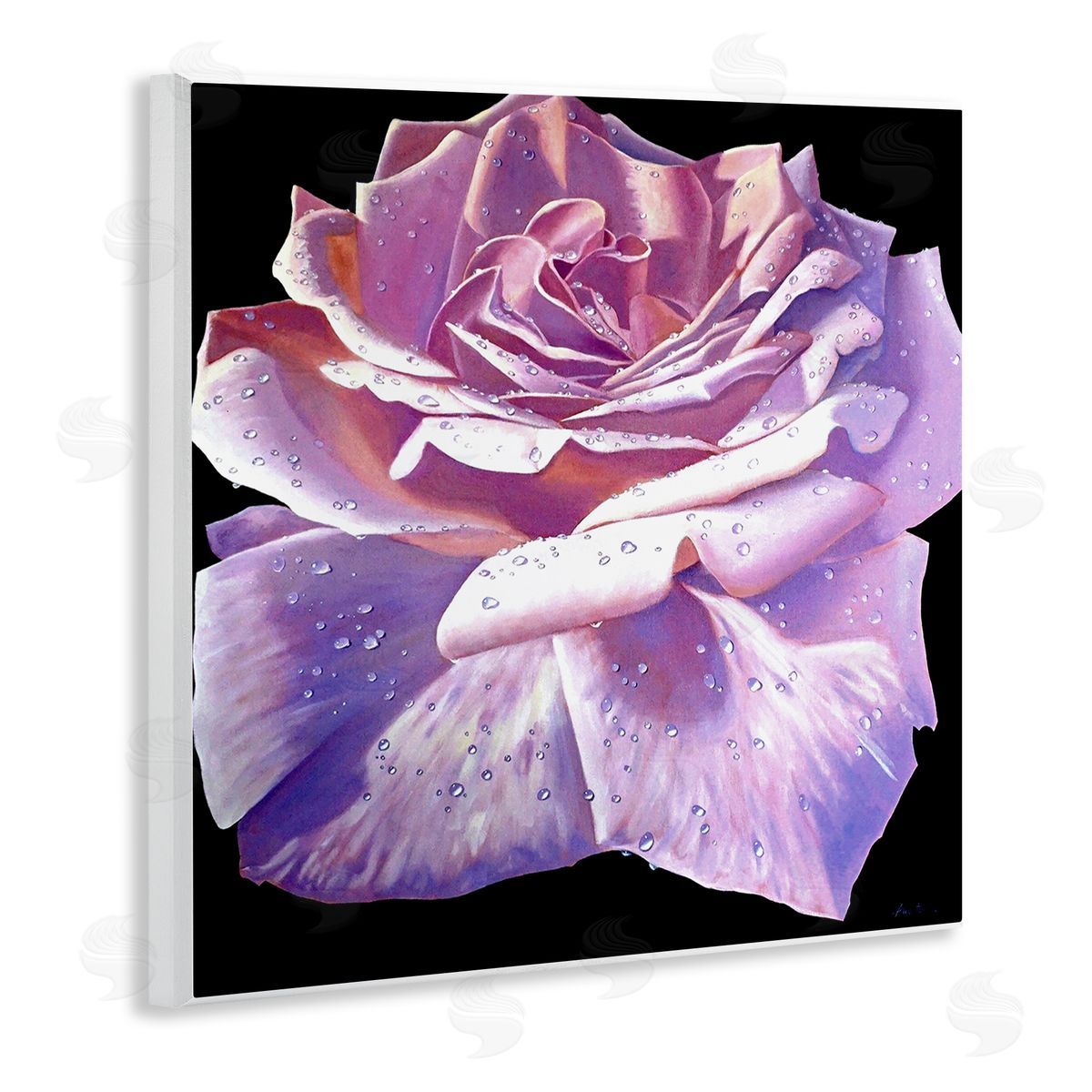 Alan Weston Lush Pink Rose Petals Flower Water Droplets  Wooden Wall Plaque Art Print