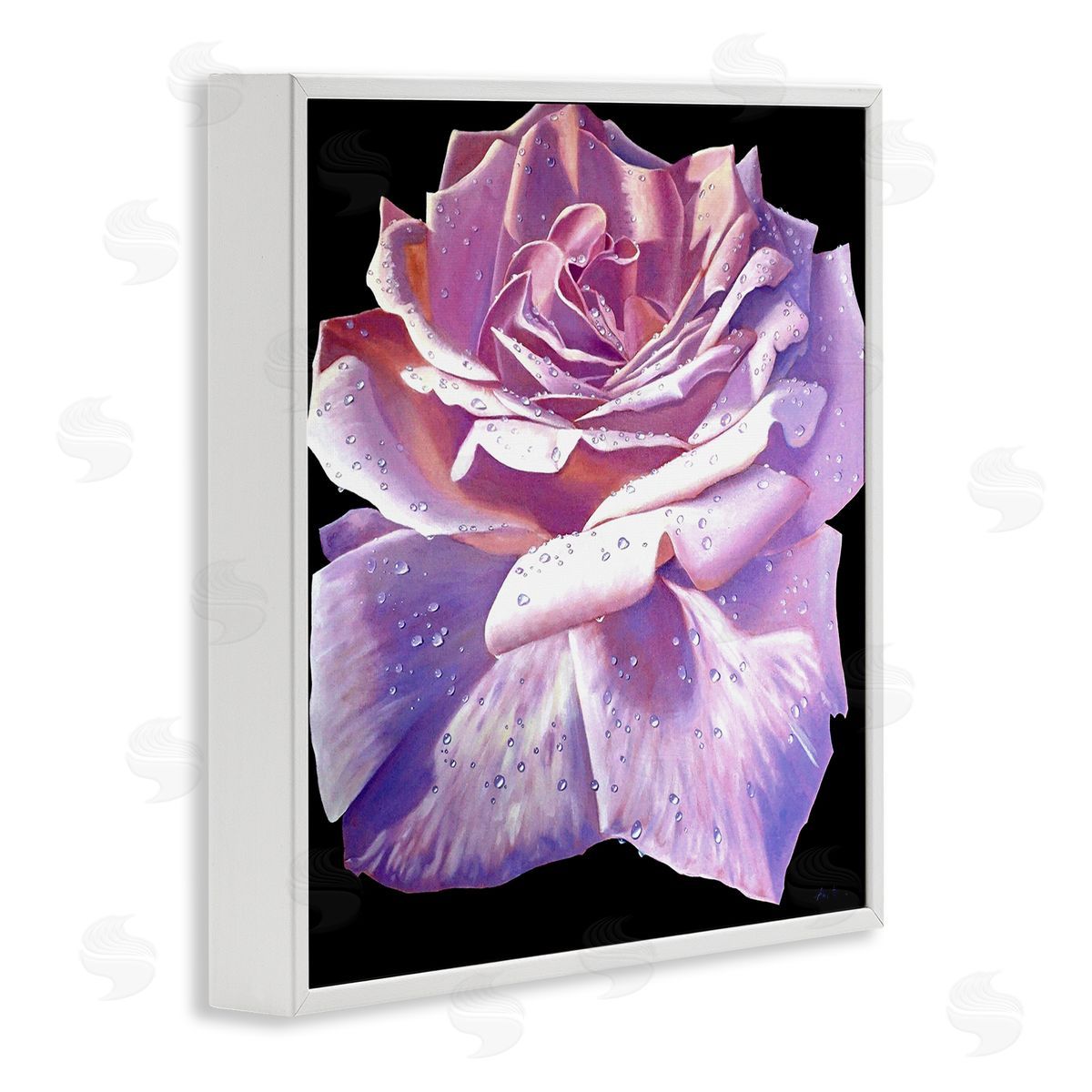 Alan Weston Lush Pink Rose Petals Flower Water Droplets  White Framed Glicee Wall Art Print