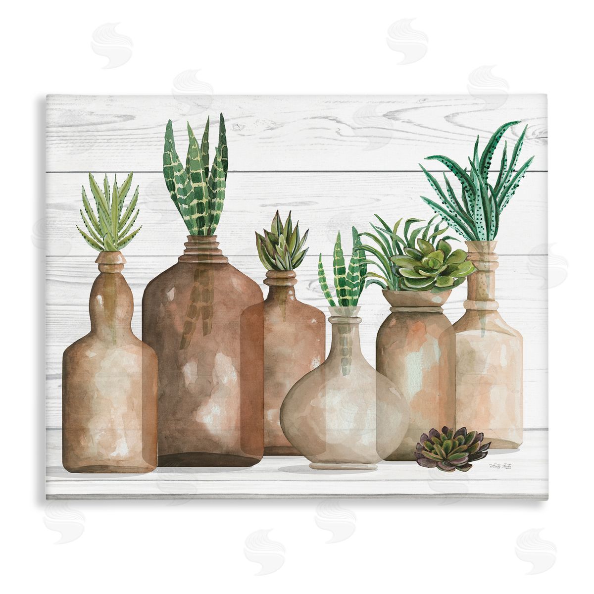 Cindy Jacobs Various Succulents Plants Vases Jars Striped Leaves Stretched Canvas Wall Art Print