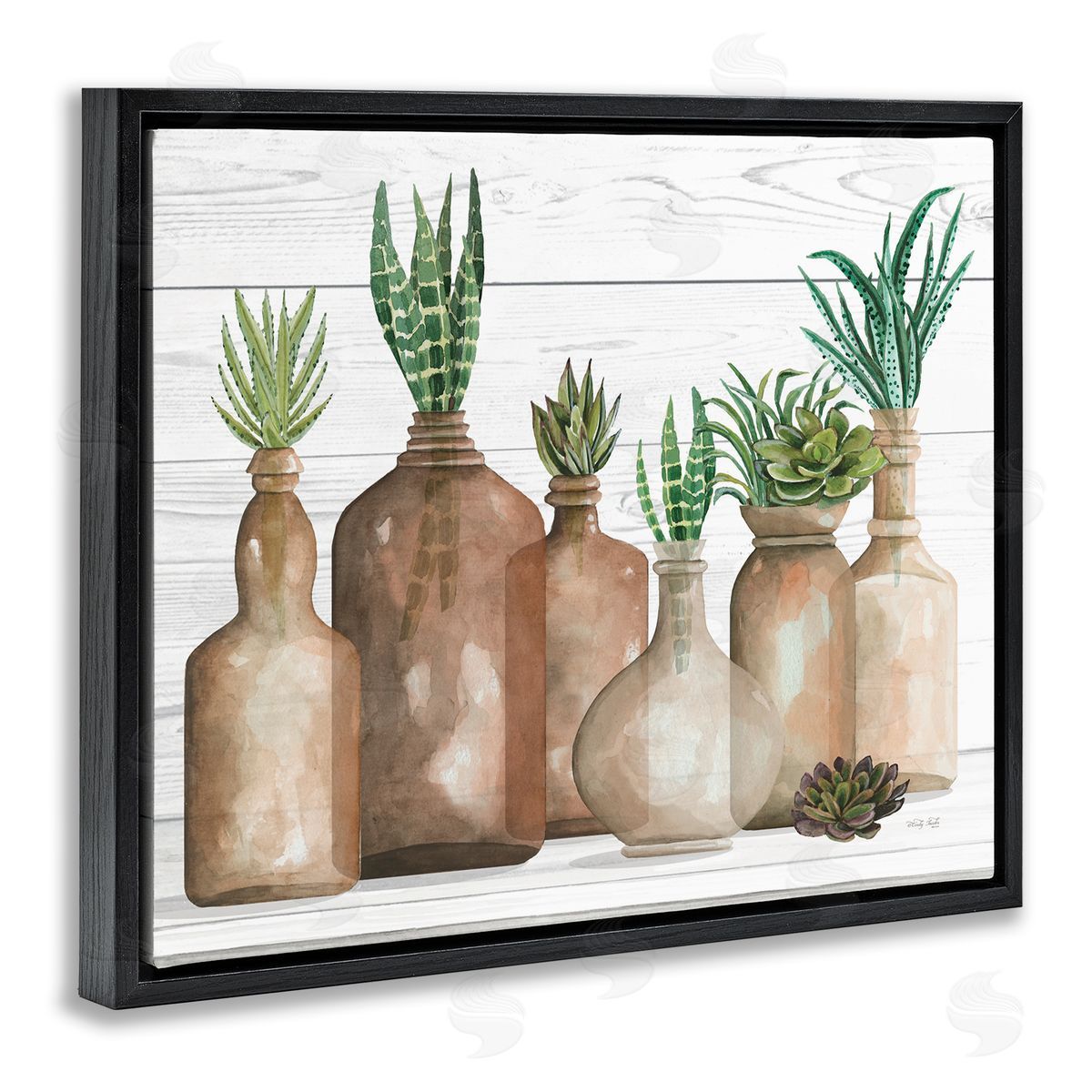 Cindy Jacobs Various Succulents Plants Vases Jars Striped Leaves Black Floating Frame Canvas Wall Art Print