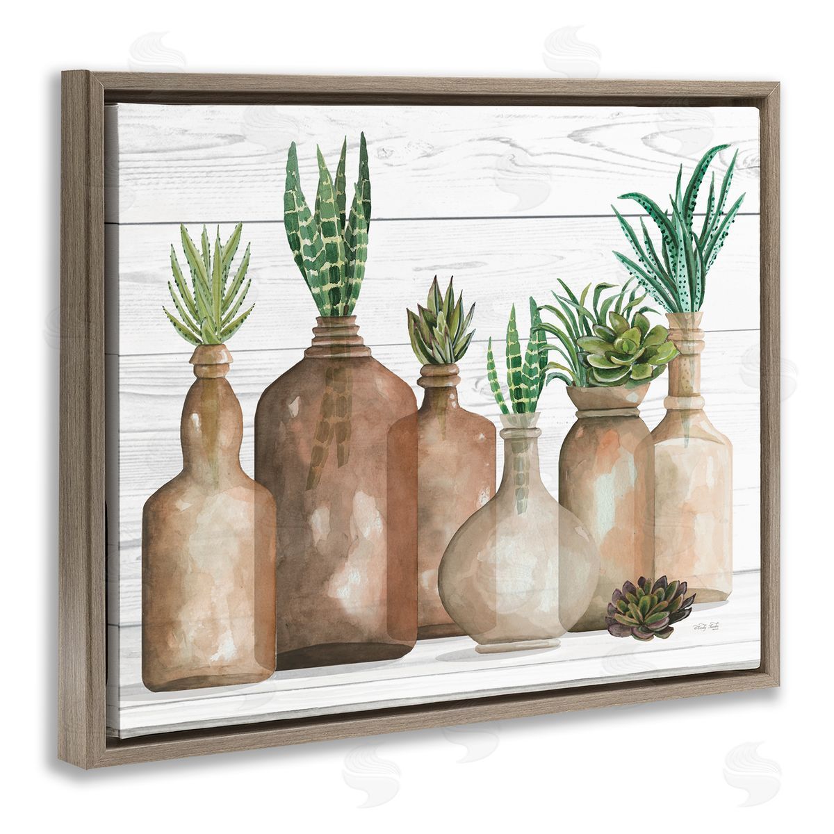 Cindy Jacobs Various Succulents Plants Vases Jars Striped Leaves Brown Floating Frame Canvas Wall Art Print