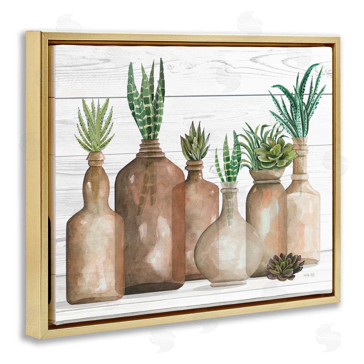 Cindy Jacobs Various Succulents Plants Vases Jars Striped Leaves Gold Floating Frame Canvas Wall Art Print
