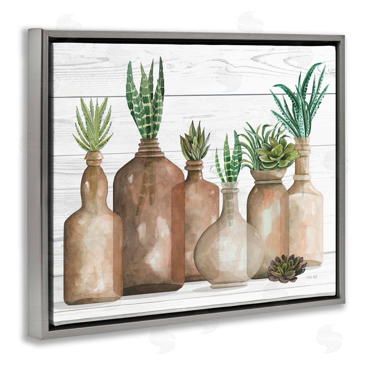 Cindy Jacobs Various Succulents Plants Vases Jars Striped Leaves Gray Floating Frame Canvas Wall Art Print