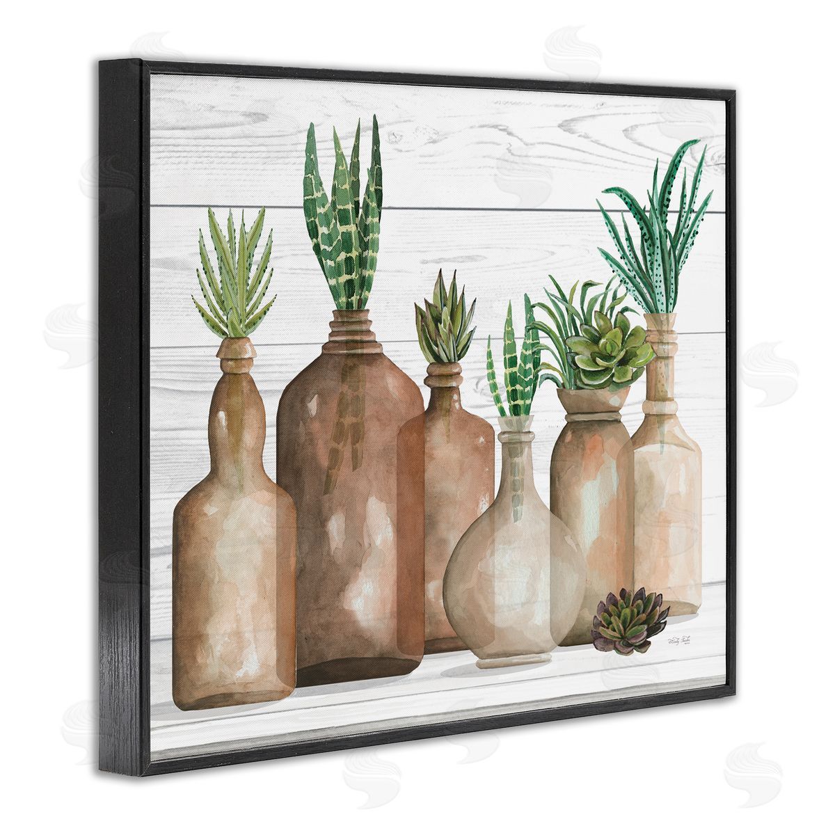 Cindy Jacobs Various Succulents Plants Vases Jars Striped Leaves Black Framed Giclee Wall Art Print