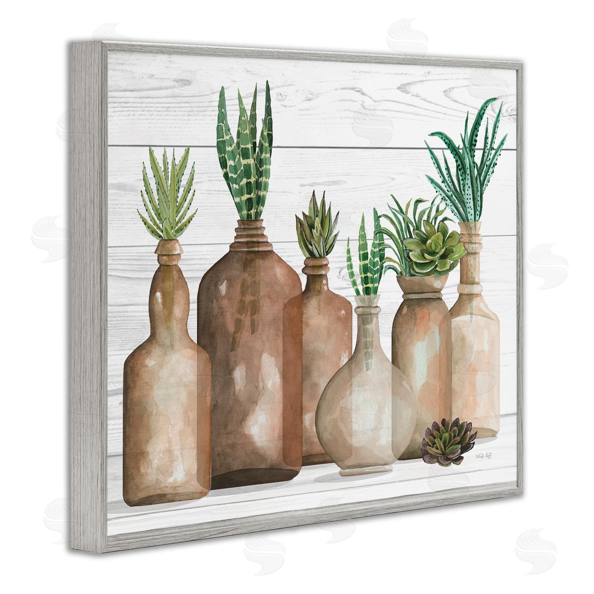 Cindy Jacobs Various Succulents Plants Vases Jars Striped Leaves Gray Framed Giclee Wall Art Print