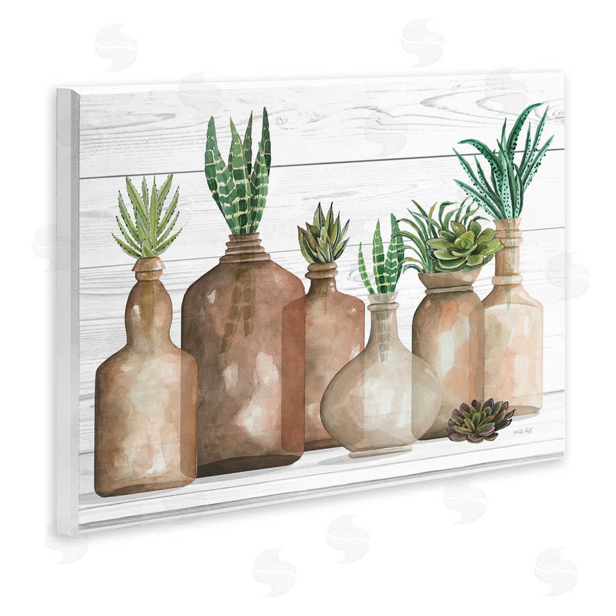 Cindy Jacobs Various Succulents Plants Vases Jars Striped Leaves Wall Plaque Art Print