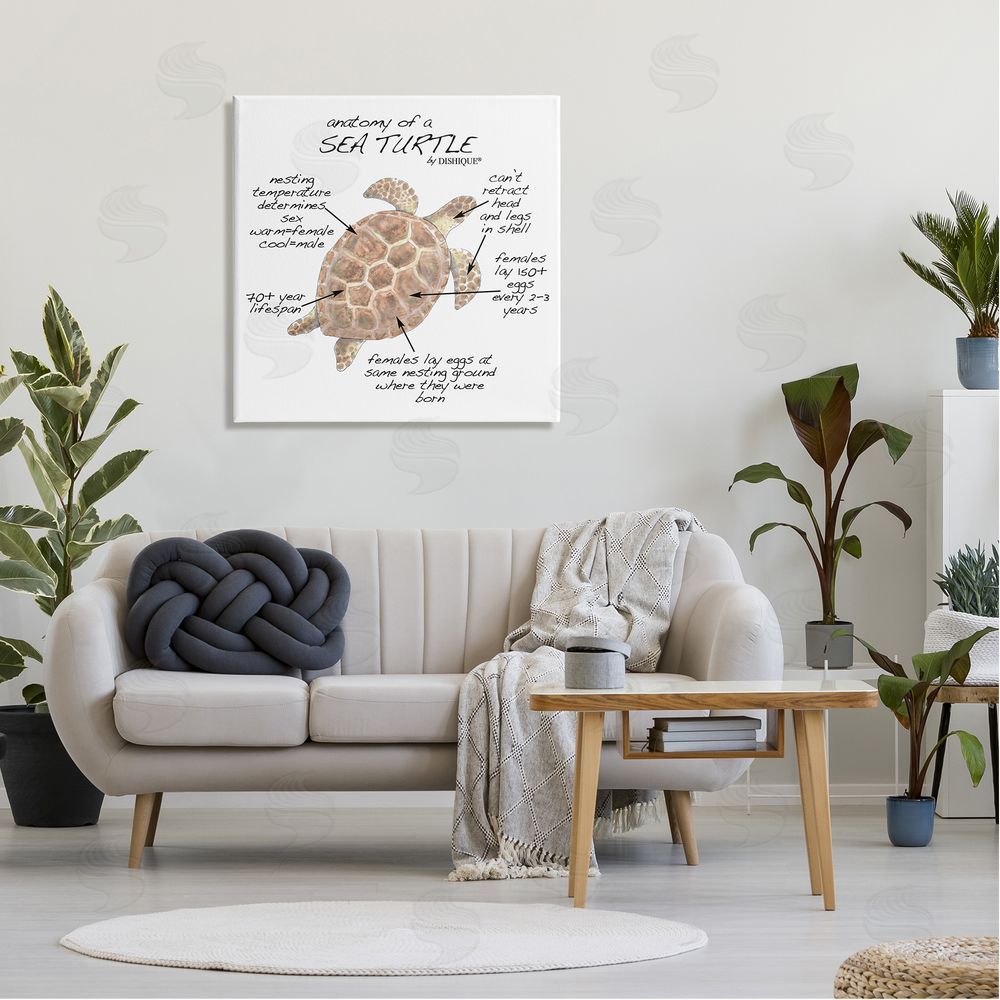Dishique Sea Turtle Anatomy Marine Life Animal Chart  Canvas Wall Art in Room