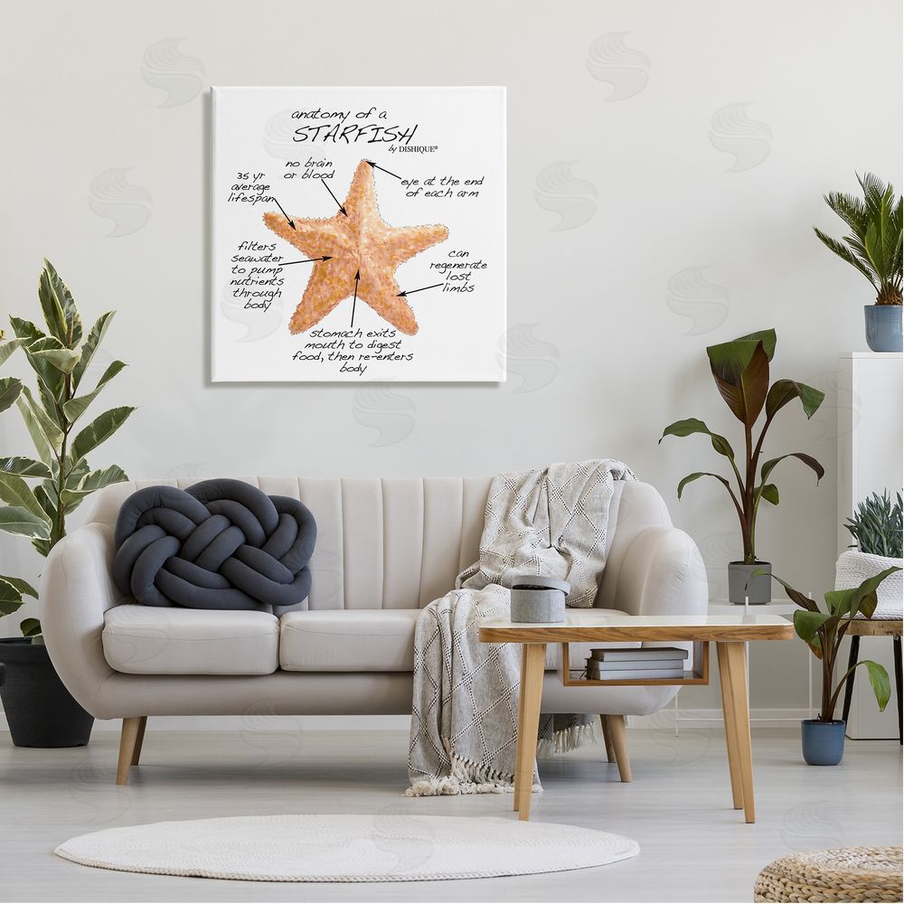 Dishique Anatomy of Starfish Sea Life Wildlife Educational Facts Canvas Wall Art in Room