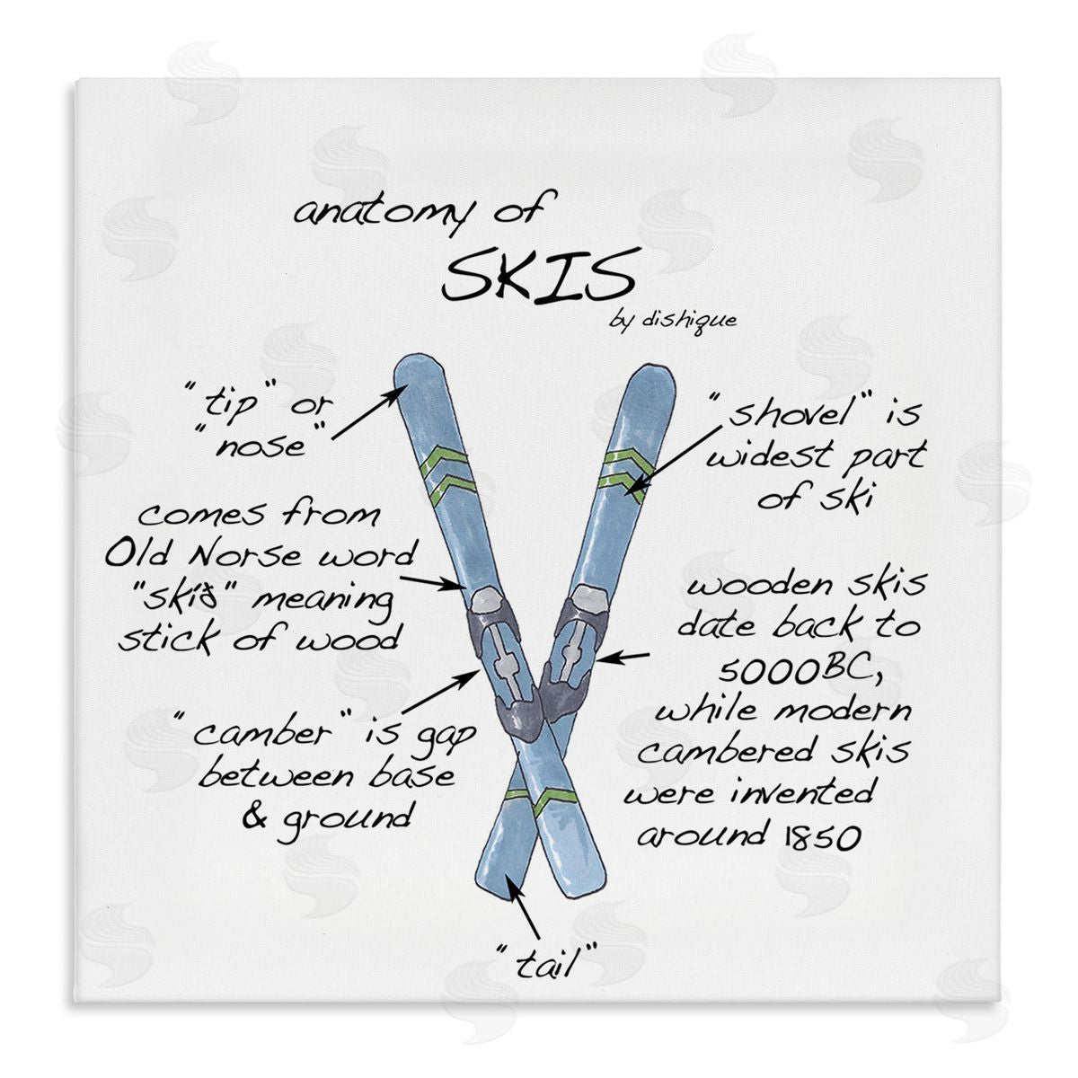Dishique Anatomy of Skis Winter Sports Diagram Facts Chart  Stretched Canvas Wall Art Print