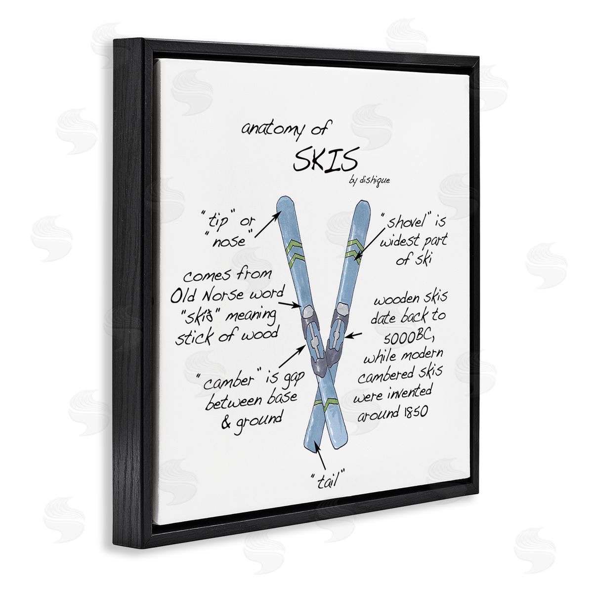 Dishique Anatomy of Skis Winter Sports Diagram Facts Chart  Black Floating Frame Canvas Wall Art Print