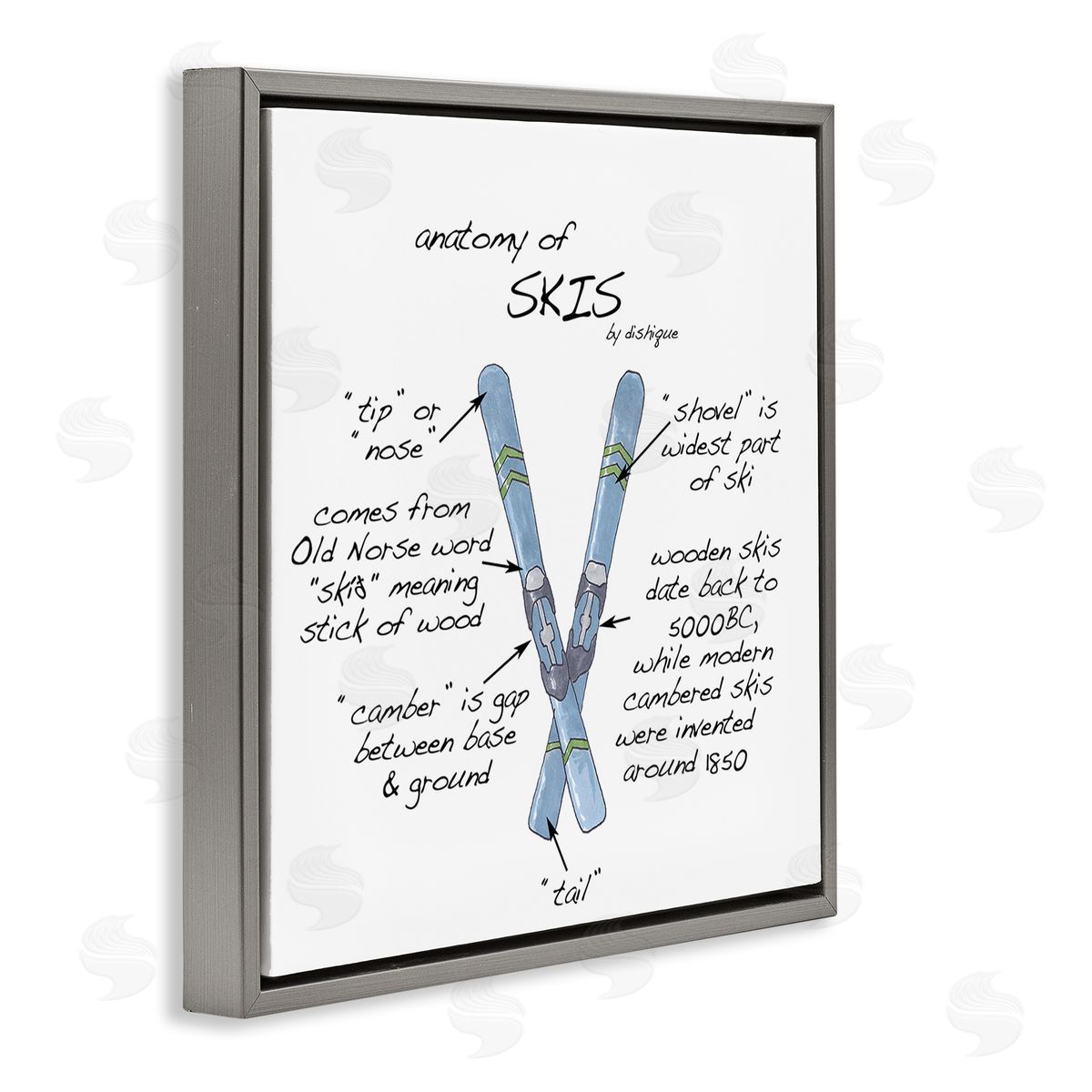 Dishique Anatomy of Skis Winter Sports Diagram Facts Chart  Gray Floating Frame Canvas Wall Art Print