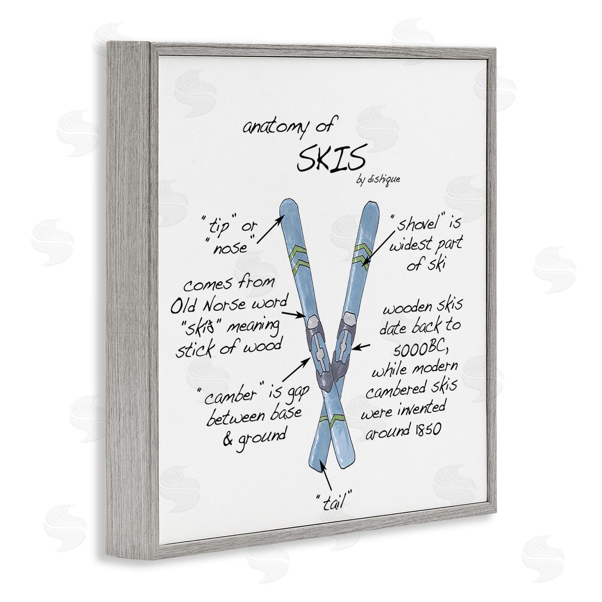 Dishique Anatomy of Skis Winter Sports Diagram Facts Chart  Gray Framed Glicee Wall Art Print